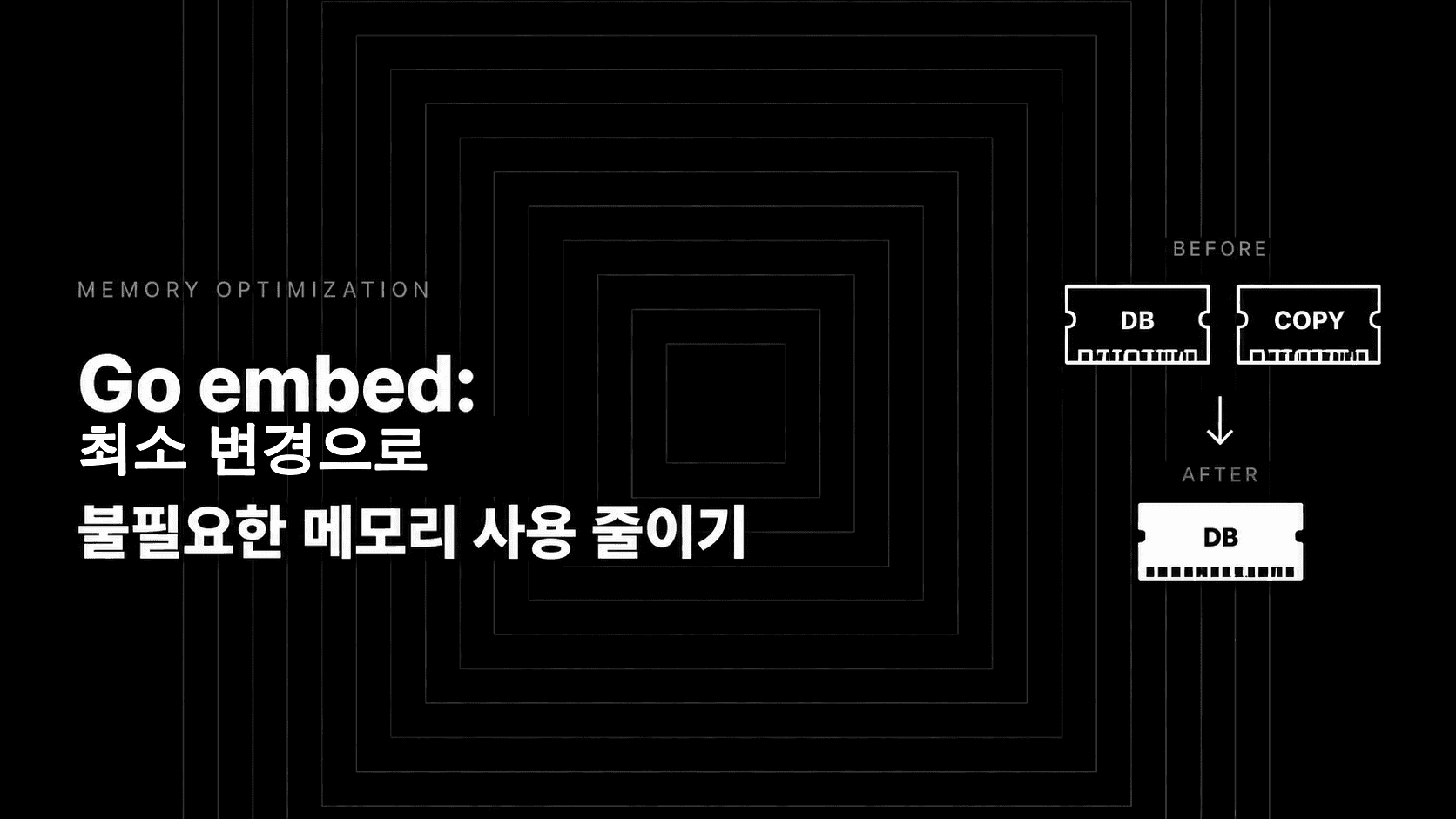 Go embed: 최소 변경으로 불필요한 메모리 사용 줄이기