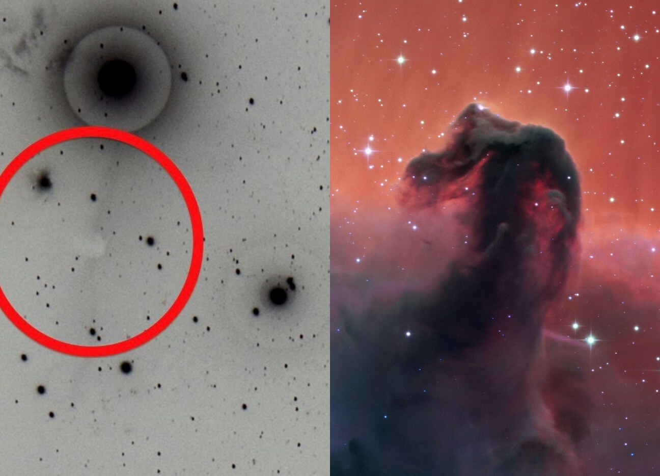 The Horsehead Nebula and a photographic plate